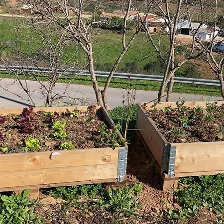 Εξοχικό σπίτι Yoga Farm *